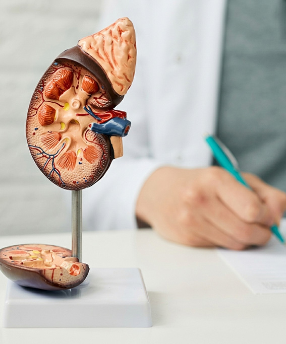 Urology